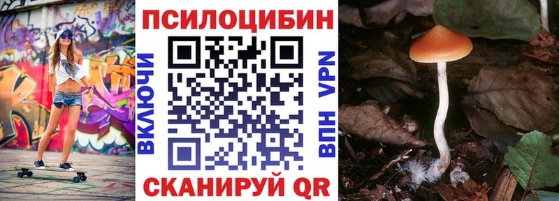 Галлюциногенные грибы прущие грибы  МЕГА онион  Абакан 