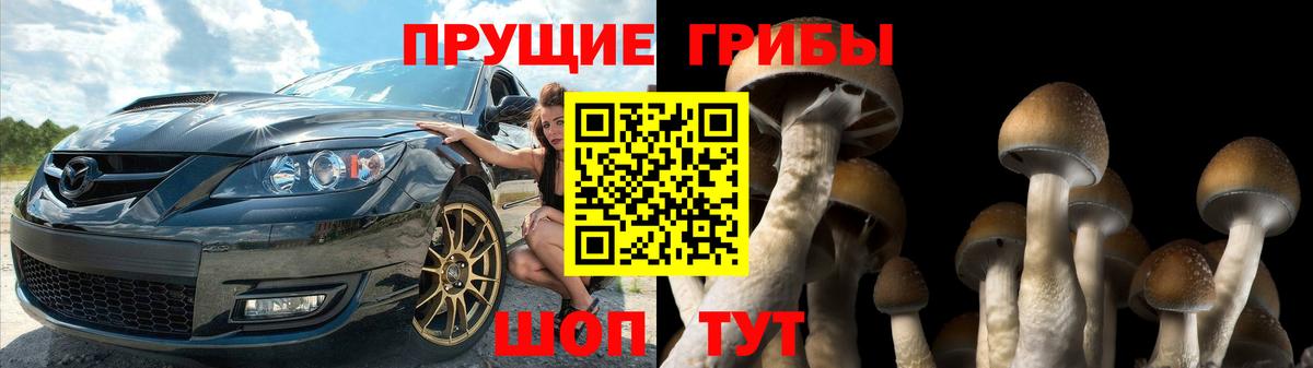 Абакан  Галлюциногенные грибы прущие грибы  Вход с VPN 