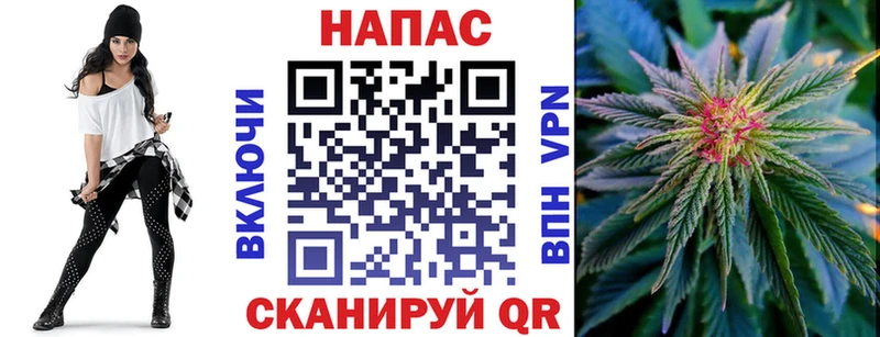 Бошки Шишки MAZAR  где купить наркоту  Абакан 